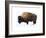 Winter Bison-Jason Savage-Framed Giclee Print