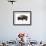 Winter Bison-Jason Savage-Framed Giclee Print displayed on a wall