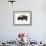 Winter Bison-Jason Savage-Framed Giclee Print displayed on a wall