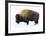 Winter Bison-Jason Savage-Framed Giclee Print