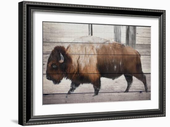 Winter Bison-Kimberly Allen-Framed Premium Giclee Print