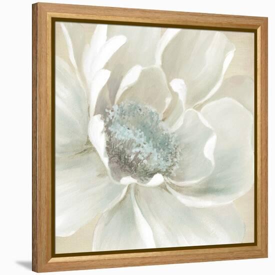 Winter Blooms I-Carol Robinson-Framed Stretched Canvas