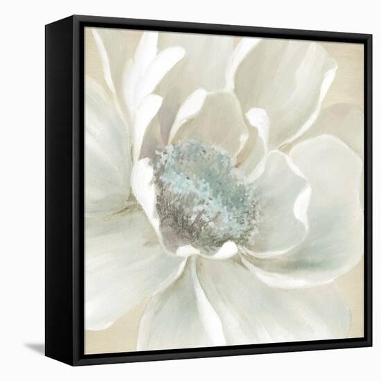 Winter Blooms I-Carol Robinson-Framed Stretched Canvas