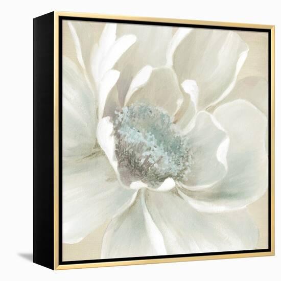 Winter Blooms I-Carol Robinson-Framed Stretched Canvas