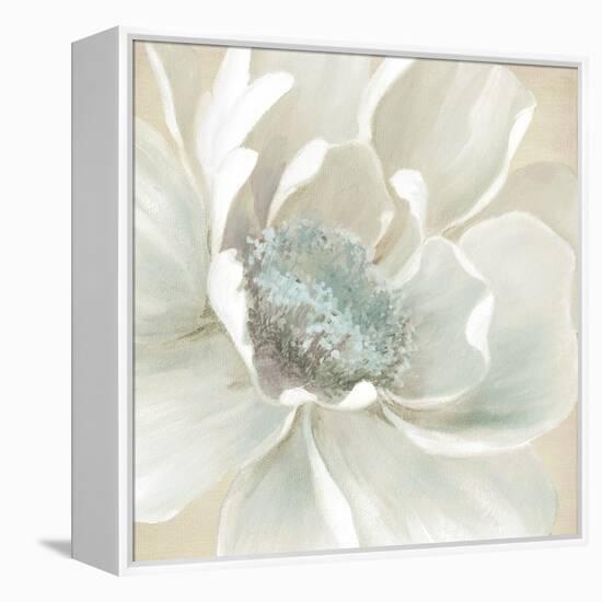 Winter Blooms I-Carol Robinson-Framed Stretched Canvas