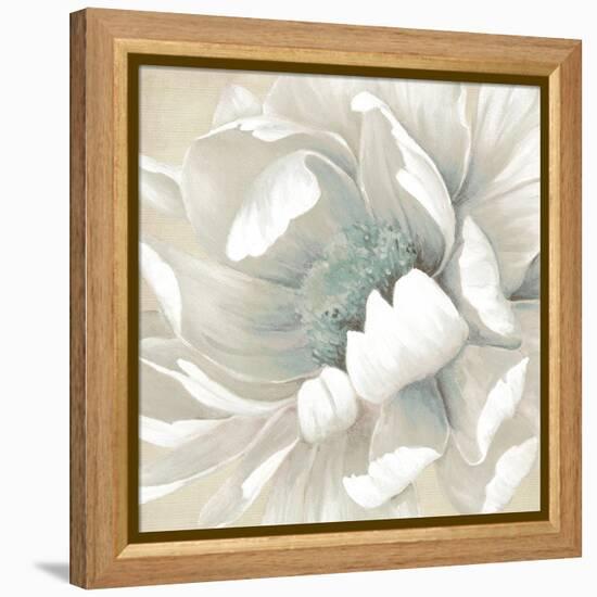 Winter Blooms II-Carol Robinson-Framed Stretched Canvas