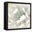 Winter Blooms II-Carol Robinson-Framed Stretched Canvas