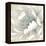 Winter Blooms II-Carol Robinson-Framed Stretched Canvas