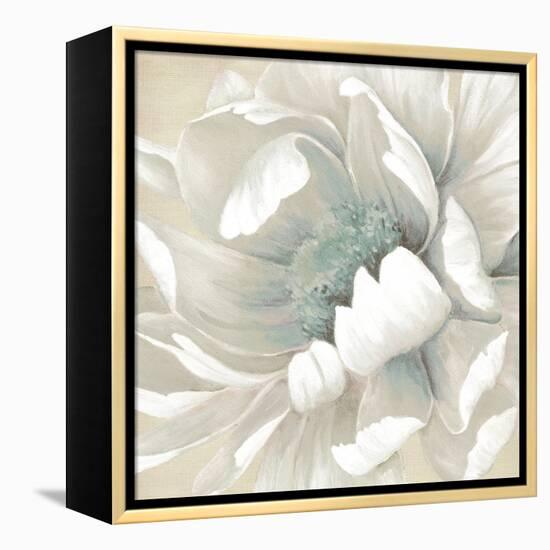 Winter Blooms II-Carol Robinson-Framed Stretched Canvas