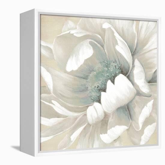 Winter Blooms II-Carol Robinson-Framed Stretched Canvas