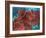 Winter Blossoms-Rikki Drotar-Framed Giclee Print