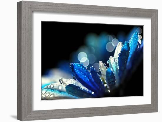 Winter Blues-Ursula Abresch-Framed Photographic Print