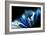 Winter Blues-Ursula Abresch-Framed Photographic Print