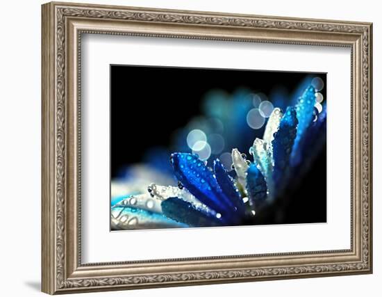 Winter Blues-Ursula Abresch-Framed Photographic Print