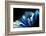 Winter Blues-Ursula Abresch-Framed Photographic Print