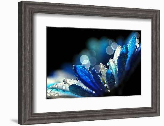 Winter Blues-Ursula Abresch-Framed Photographic Print