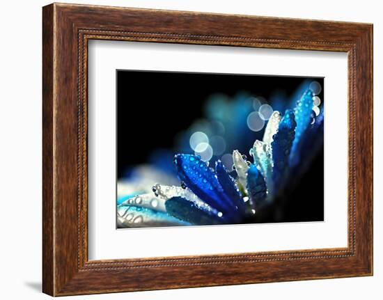 Winter Blues-Ursula Abresch-Framed Photographic Print