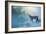 Winter Bobcat-Jai Johnson-Framed Giclee Print