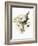 Winter Bouquet 1-Megan Swartz-Framed Art Print