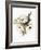 Winter Bouquet 1-Megan Swartz-Framed Art Print