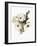 Winter Bouquet 1-Megan Swartz-Framed Art Print