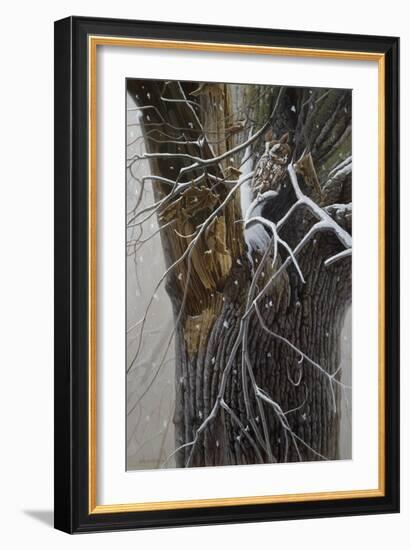 Winter Branches-Michael Budden-Framed Giclee Print