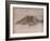 'Winter', c1870, (1918)-Anton Mauve-Framed Giclee Print