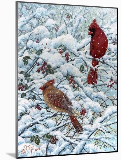 Winter Cardinal Painting-Jeff Tift-Mounted Giclee Print