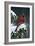 Winter Cardinal-Wilhelm Goebel-Framed Giclee Print