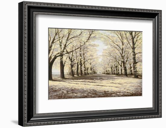 Winter Cathedral-Bruce Nawrocke-Framed Photographic Print