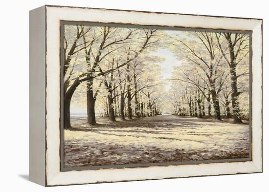 Winter Cathedral-Bruce Nawrocke-Framed Premier Image Canvas