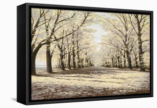 Winter Cathedral-Bruce Nawrocke-Framed Premier Image Canvas