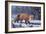 Winter Charm-R.W. Hedge-Framed Giclee Print