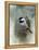 Winter Chickadee-Jai Johnson-Framed Premier Image Canvas