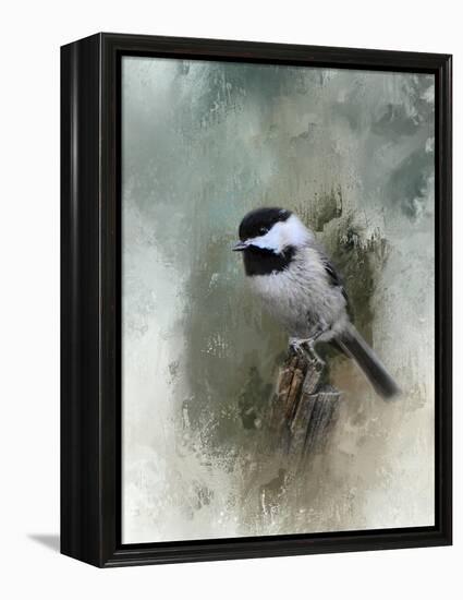 Winter Chickadee-Jai Johnson-Framed Premier Image Canvas