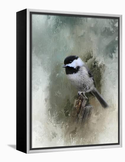 Winter Chickadee-Jai Johnson-Framed Premier Image Canvas