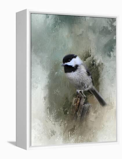 Winter Chickadee-Jai Johnson-Framed Premier Image Canvas