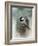 Winter Chickadee-Jai Johnson-Framed Giclee Print