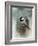 Winter Chickadee-Jai Johnson-Framed Giclee Print