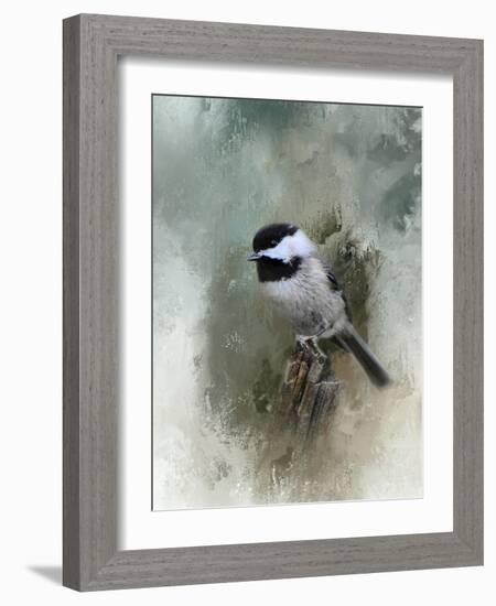 Winter Chickadee-Jai Johnson-Framed Giclee Print