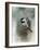 Winter Chickadee-Jai Johnson-Framed Giclee Print