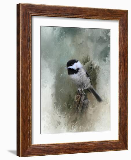 Winter Chickadee-Jai Johnson-Framed Giclee Print