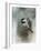 Winter Chickadee-Jai Johnson-Framed Giclee Print