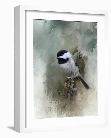 Winter Chickadee-Jai Johnson-Framed Giclee Print