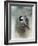 Winter Chickadee-Jai Johnson-Framed Giclee Print