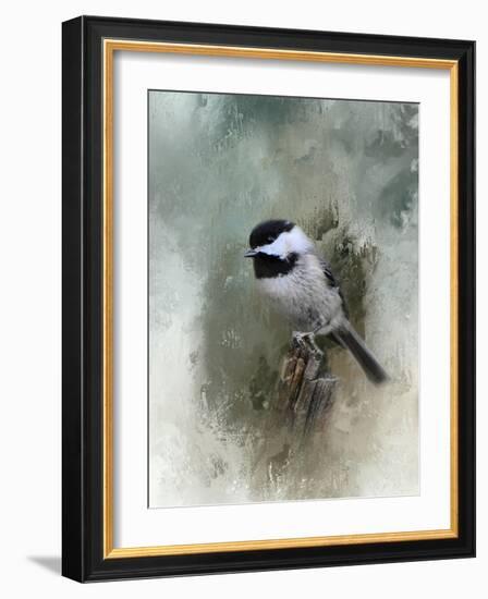 Winter Chickadee-Jai Johnson-Framed Giclee Print