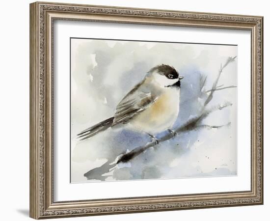 Winter Chickadee-Katrina Pete-Framed Art Print