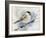 Winter Chickadee-Katrina Pete-Framed Art Print