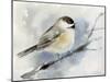 Winter Chickadee-Katrina Pete-Mounted Art Print