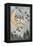 Winter, Children on Moon-null-Framed Stretched Canvas